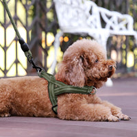 Plutus Pet No Pull Dog Harness with Front Clip - M: chest 19.7"-25.2" / Ranger Green - image 3