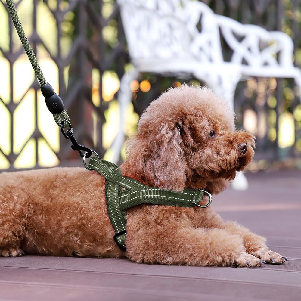 Plutus Pet No Pull Dog Harness with Front Clip - M: chest 19.7"-25.2" / Ranger Green - image 3