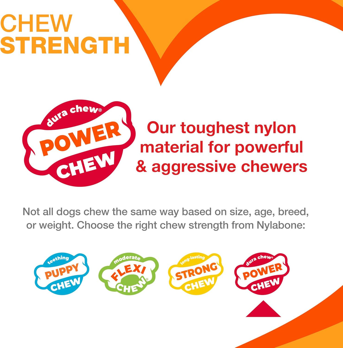 Nylabone Power Chew Customer Favorites Dog Chew Toys - Small / Bundle - image 3