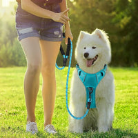 BARKBAY Dog Harness No Pull with ID Tag Pocket - Heavy Duty, Reflective, Easy Control for Large Dogs(Ocean Blue,S)