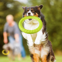 4 Pack 7.48 Inch Dog Ring Toy for Large Medium Dog Training - green, orange, yellow / 11.81 Inch - image 4