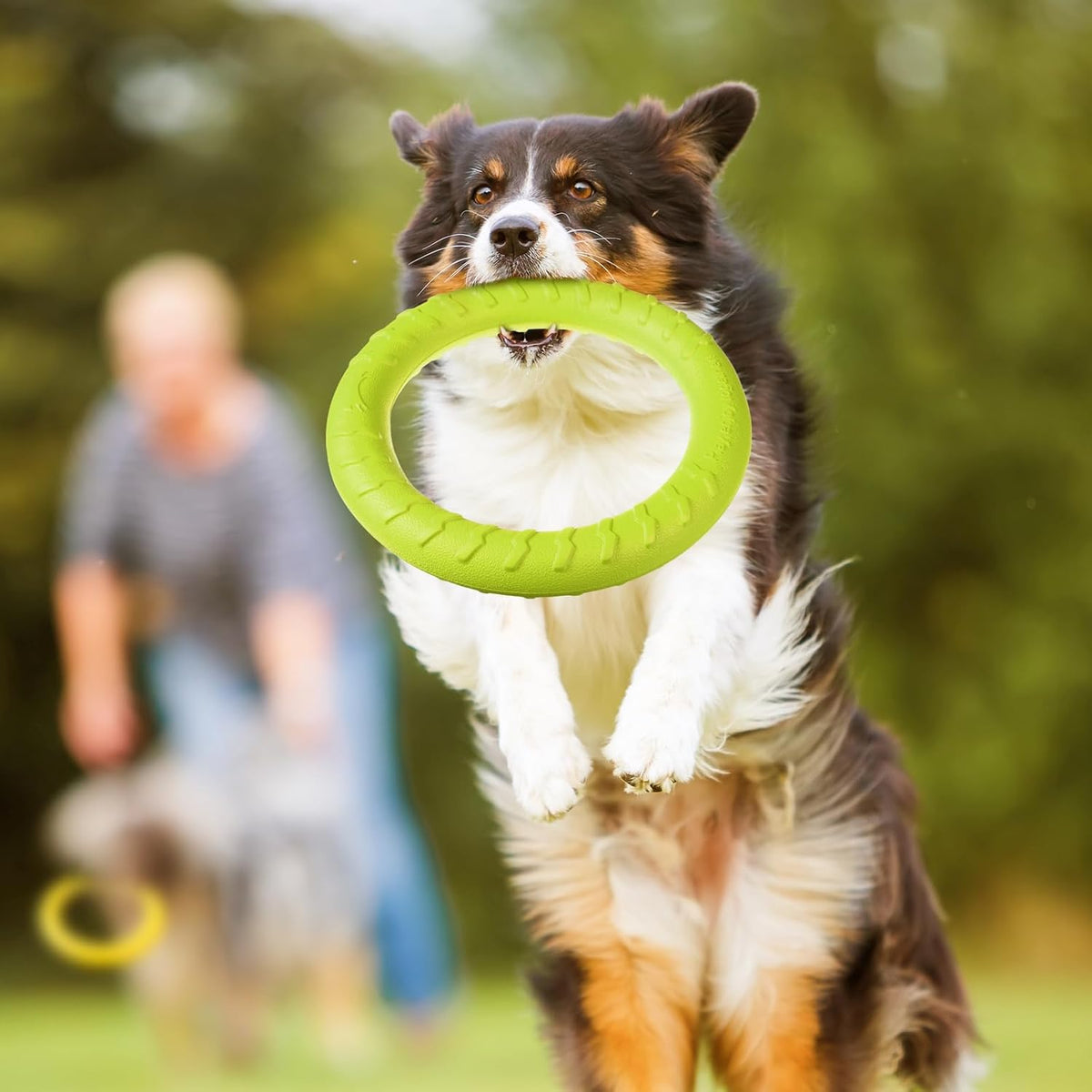 4 Pack 7.48 Inch Dog Ring Toy for Large Medium Dog Training - green, orange, yellow / 11.81 Inch - image 4