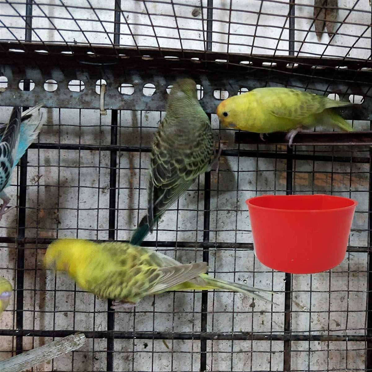 Cage Cups Birds Feeders Seed Bowl Chicken Feeding Watering Dish - 10PCS Red - image 3