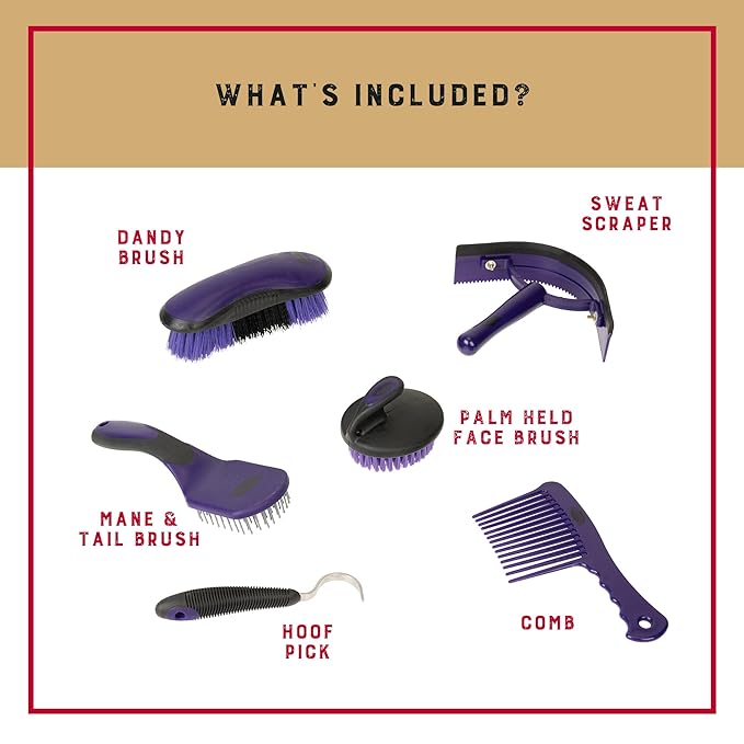 Weaver Equine 6-Piece Horse Grooming Kit, Ergonomic Gentle Horse Care Kit, Equestrian Supplies for Bathing Support, Detangling, and More, Purple/Black