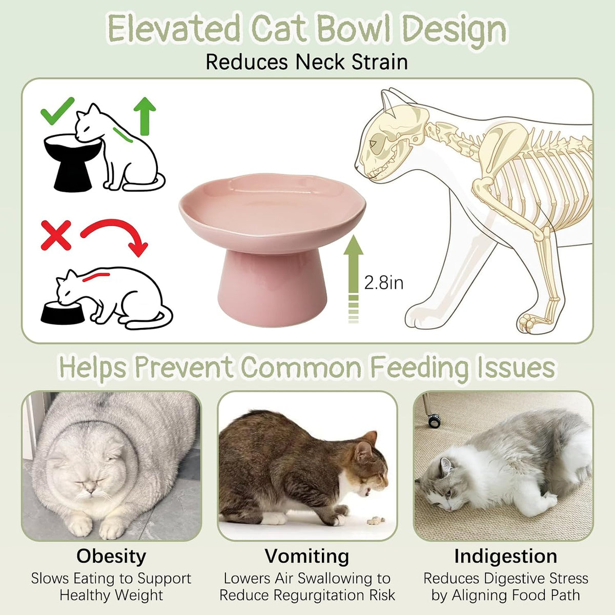 VCEPJH Elevated Cat Bowls 6.1in Wide Shallow Ceramic Raised Food Dish – Essentials for Cats - Pink(Pack of 2) - image 3