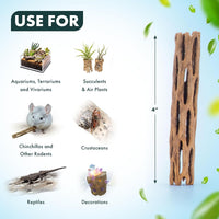 Natural Cholla Wood, Driftwood for Aquariums, Air Plant Base - Stick / 4 Inch (Pack of 3) - image 4