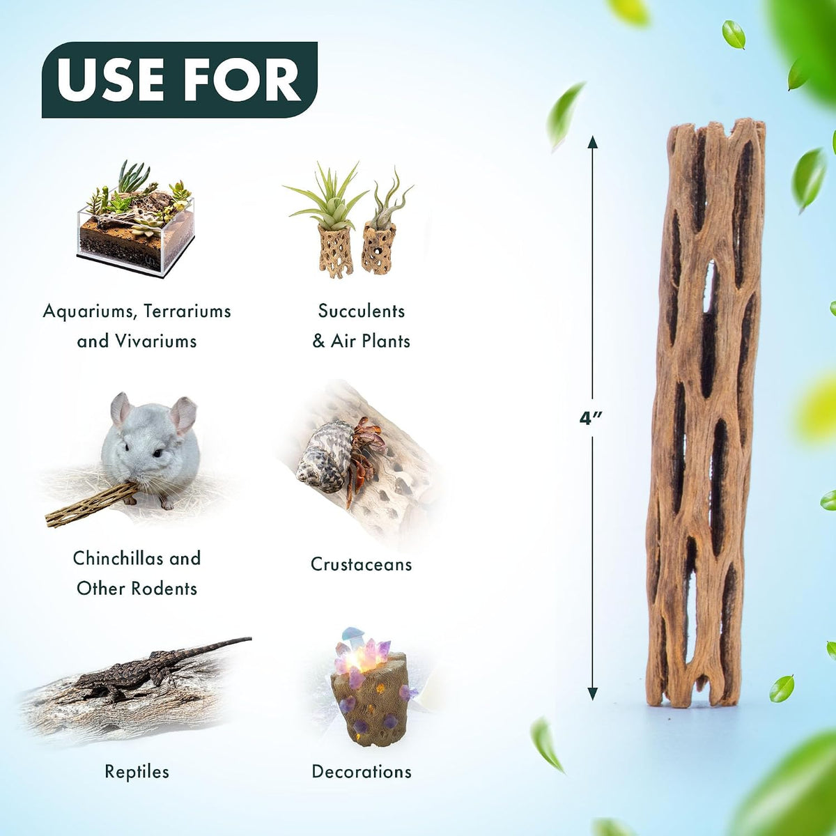 Natural Cholla Wood, Driftwood for Aquariums, Air Plant Base - Stick / 4 Inch (Pack of 3) - image 4
