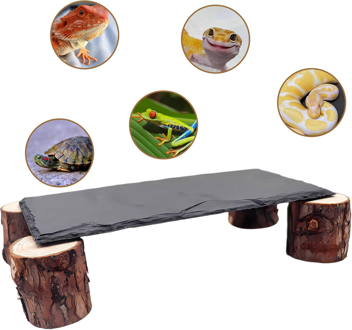Bearded Dragon Basking Platform - Black / Small - image 3