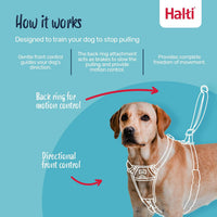 Halti No Pull Dog Harness, Size M - Deep Walnut / L - image 2
