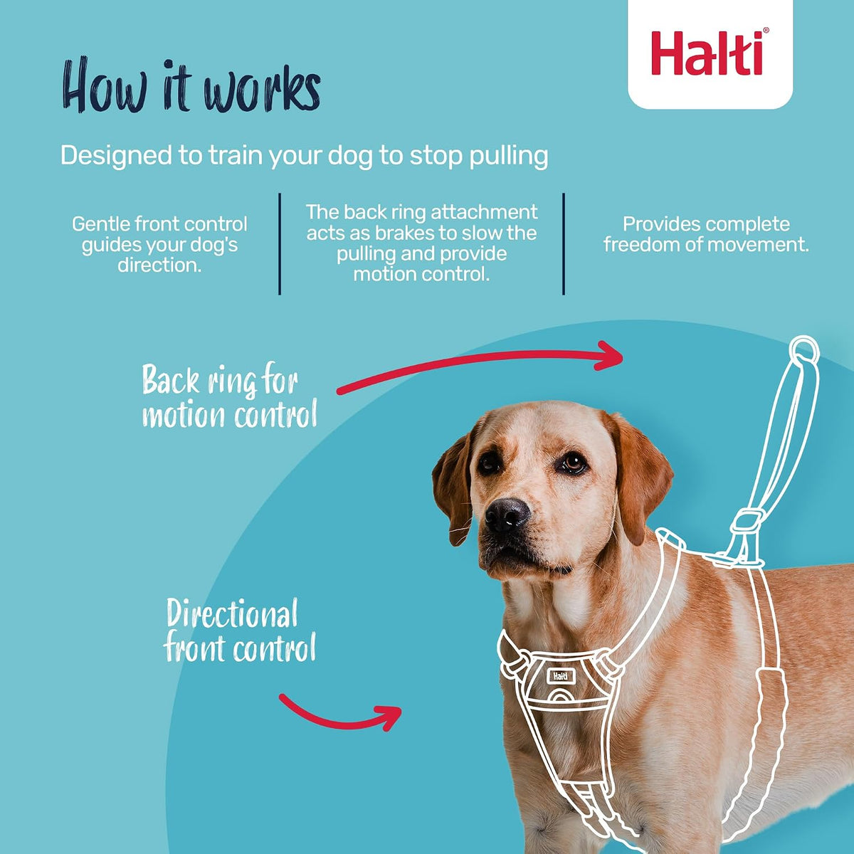 Halti No Pull Dog Harness, Size M - Deep Walnut / L - image 2