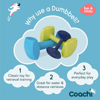 Coachi Training Dumbbell, Size Medium - Light Blue / Large - image 2