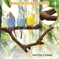 Natural Parrot Perch Bird Stand Pole Wild Grape Stick Paw Grinding - Wild Grape Stick 1 Pcs - image 3