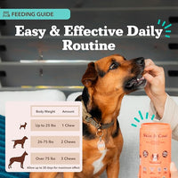 Natural Dog Company Skin & Coat Supplement for Dogs Omega-3 Rich Salmon Oil Chews for Itchy Skin Relief, Shedding & Allergy Support, Shiny Coat Health, with Biotin, Vitamin E, Grain-Free (180 Count)