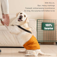 Avont 3 Pack Dog Diapers Male with Suspenders - Black/Grey/Brown / S / 3 - image 3
