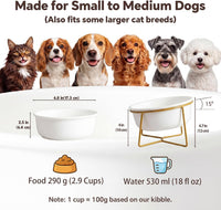 Small Glass Tilted Elevated Cat Dog Bowl Raised Cat Food Water Bowl - Large / White - image 2