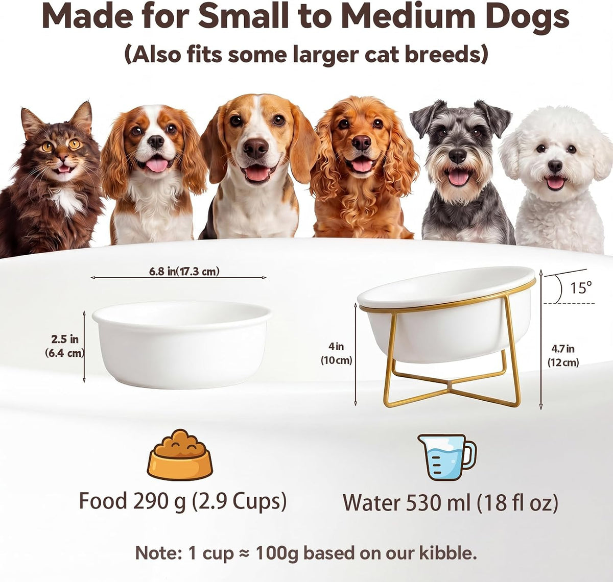 Small Glass Tilted Elevated Cat Dog Bowl Raised Cat Food Water Bowl - Large / White - image 2