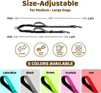Double Dog Leash, No Tangle Splitter for Two Dogs - Grey - image 2