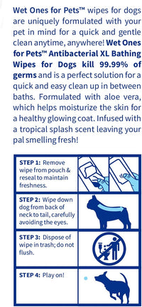 Wet Ones for Pets Antibacterial Dog Wipes - Tropical Splash / 10 Count (Pack of 1) - image 4