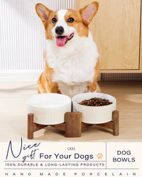 Ceramic Dog Bowls Set with Acacia Wood Stand - Large-3.5Cups / Vintage White - image 3