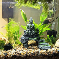 Rocks for Plants 5 Lbs, 0.8-1.5 Inch High Polished Pebbels, Decorative Stones for Garden Landscaping, Smooth Gravel Filler for Outdoor Plants, Succulents, Fish Tank and Vases