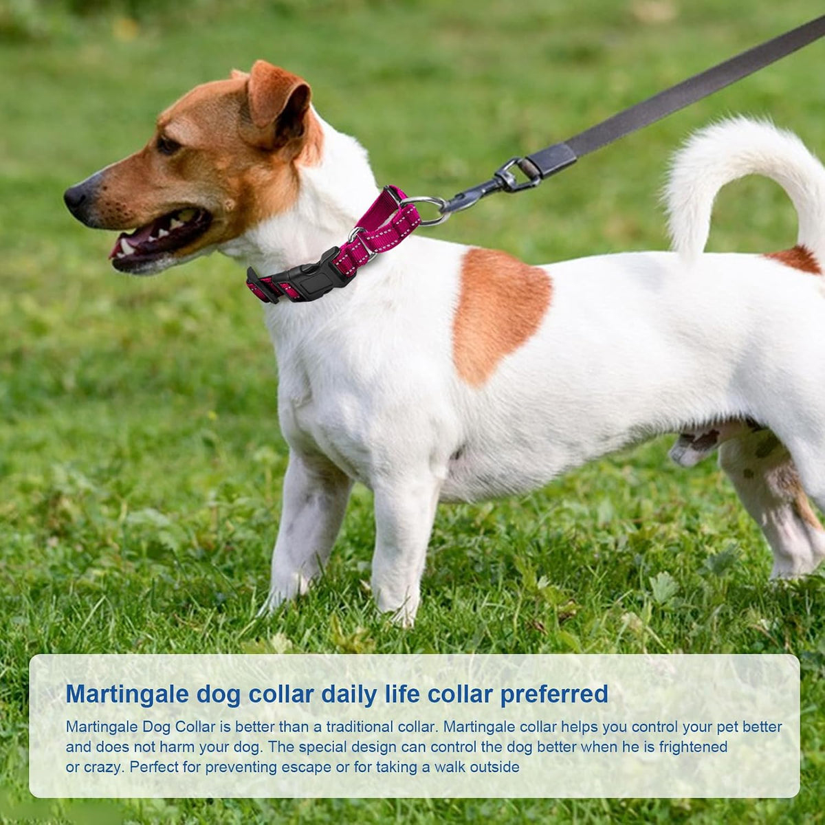 Reflective Martingale Dog Collars. Dog Collar with Quick Release - M:1" Wide for 14.5"-19.5" Neck / Rose Red - image 4