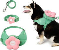 VETRESKA Flora Dog Harness, Leash and Collar Set - XS