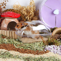 Hamster Small Animal Sand Bath Box Bathtub Critter's Bathroom - +200g Sand+1 Spoon / Large - image 4