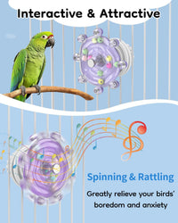 Pawfly 2 Pcs Bird Toys for Parakeets - 1 PC / Purple - image 4