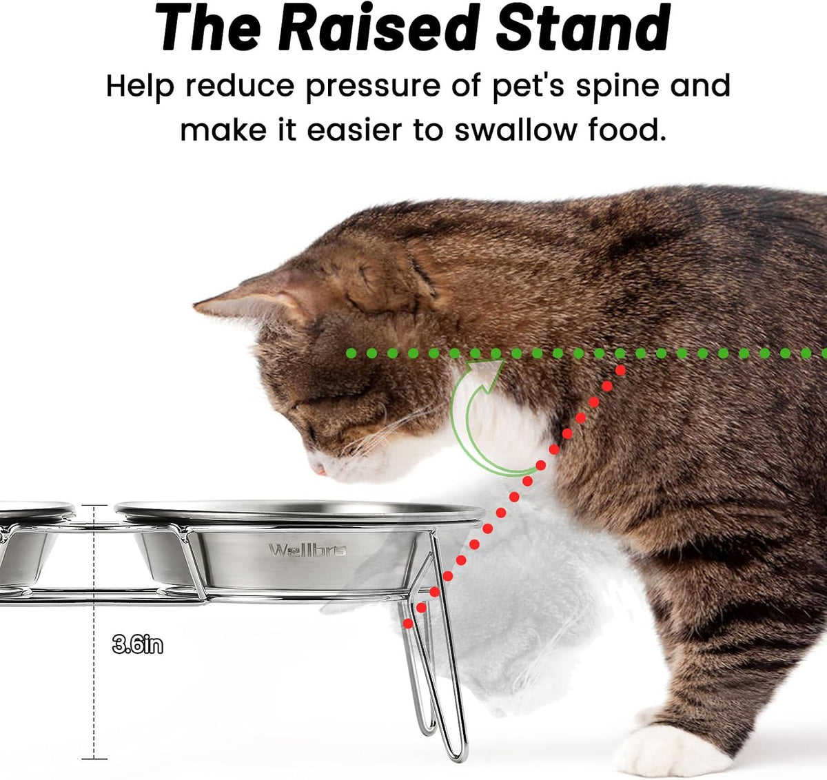 Elevated Cat Bowls, Wide Stainless Steel Cat Food Bowls with Metal Stand Whisker Stress-Free - Integrated Bowls - image 2
