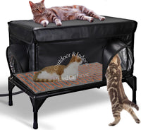 Heated Cat House for Outside Cat in Winter