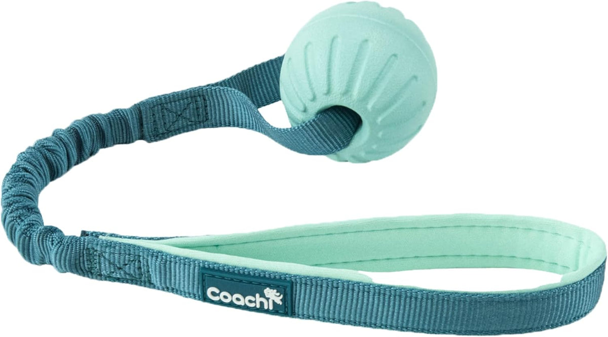Coachi Puppy & Mini Tuggi Tug, Dog Toy for Tug of War & Play - Tuggi Ball