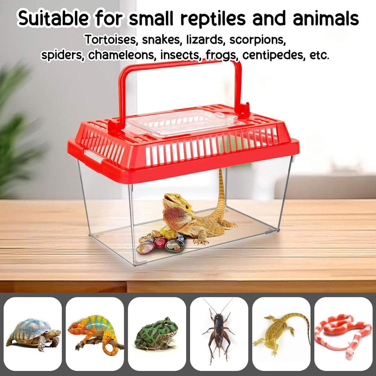 12Pcs Plastic Reptile Terrariums Carrier Cage - M - image 4