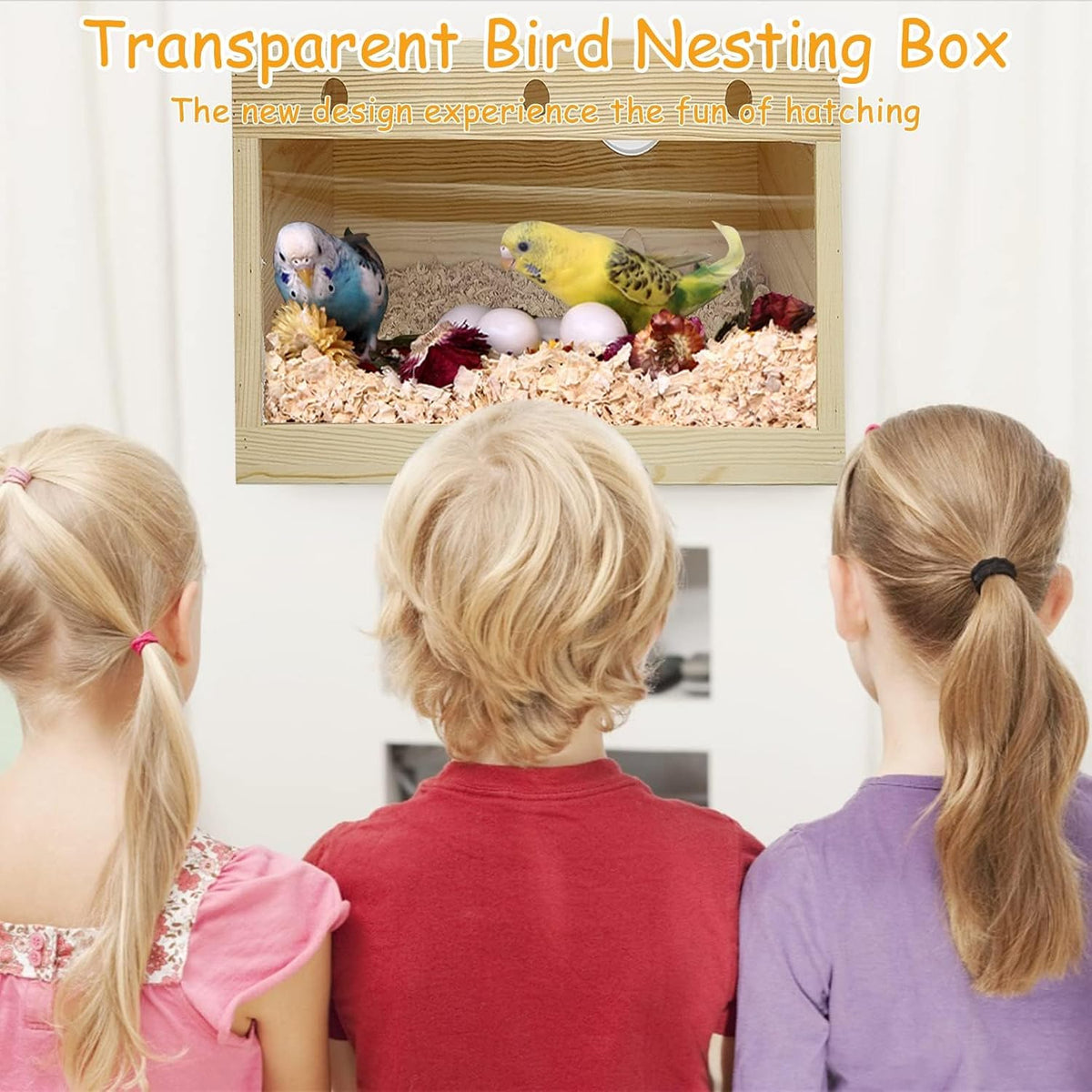 Acrylic Parakeet Nesting Box Transparent Panoramic Bird Nest for Cage – Essentials for Birds - L: 11.8 x 5.7 x 5.9 inch - image 4