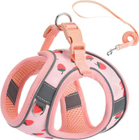 Step in Dog Harness and Leash Set, Pet Vest Harness - strawberry / S