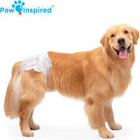 Paw Inspired 32ct Disposable Dog Diapers - X-Large (20 Count) - image 2