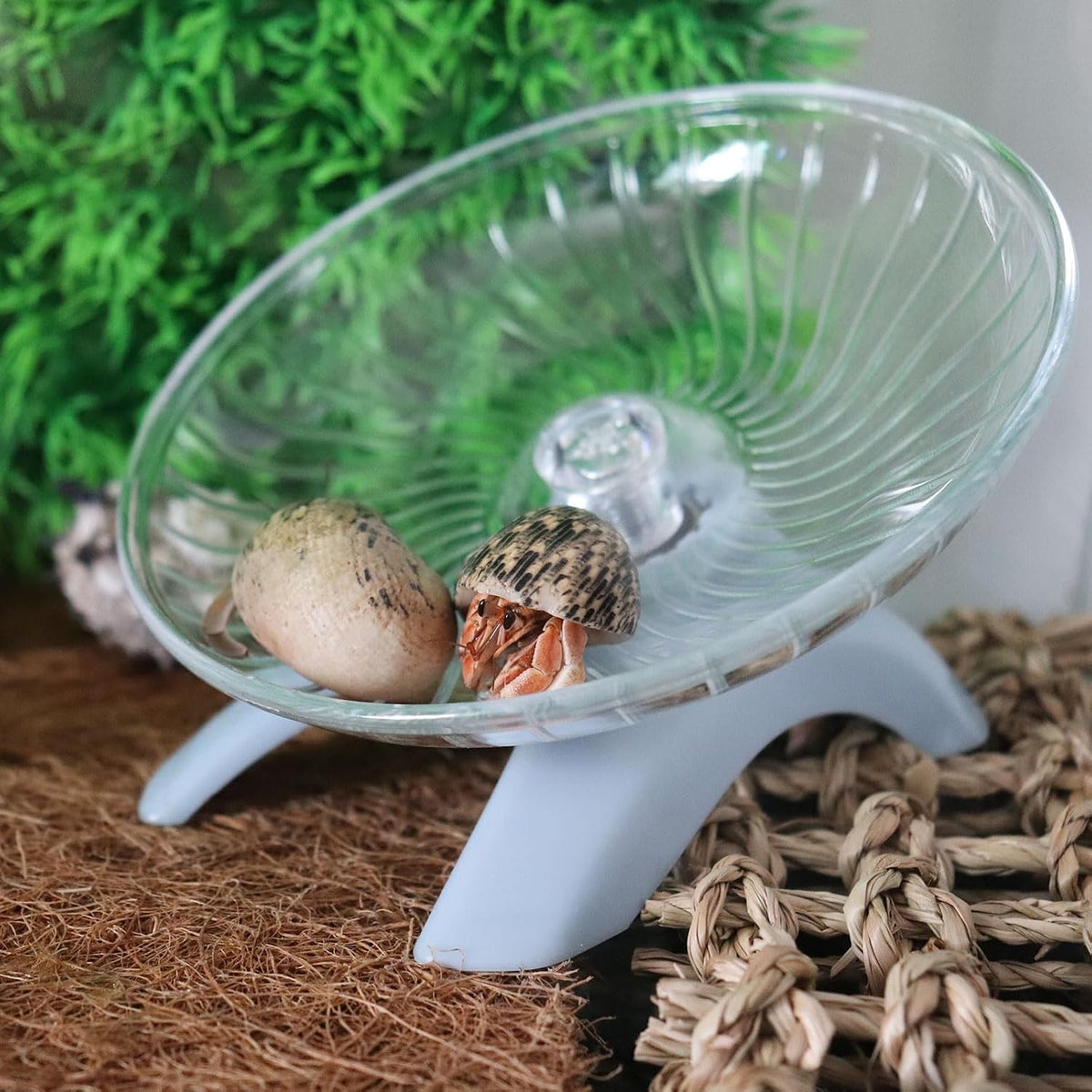 Hermit Crabs Wheel Toy, Hamster Running Wheel Toys - Small / Light Blue - image 2