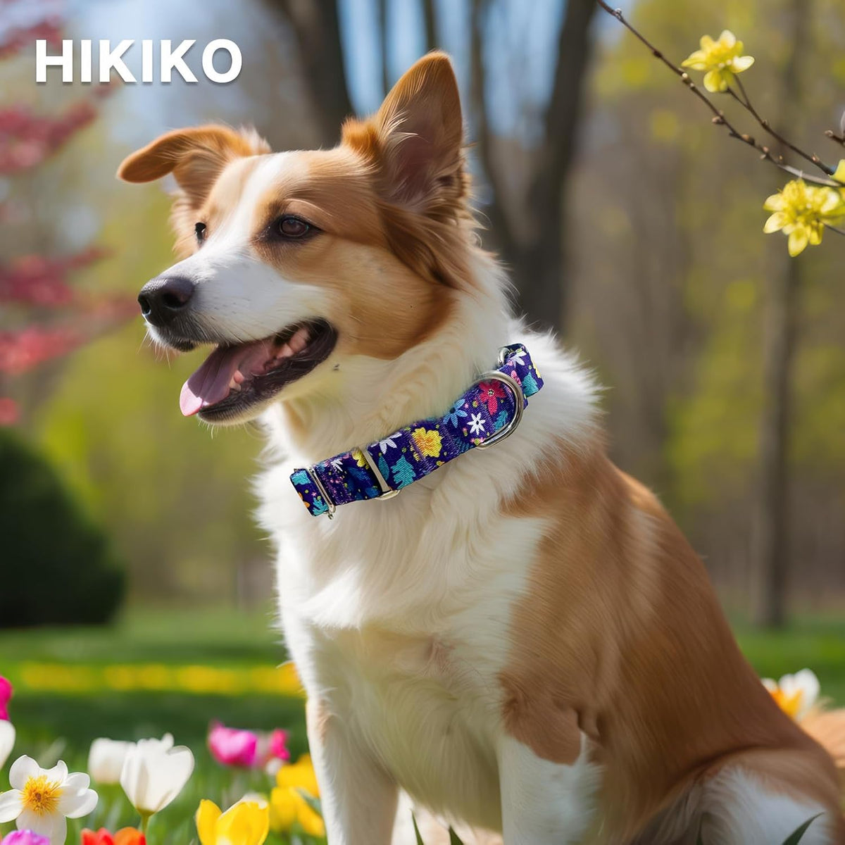 Hikiko Martingale Dog Collar Without Buckle - Colourful Blossoms / Small - image 2