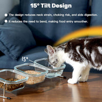 Elevated Cat Bowls, 15° Tilted Glass Raised Cat Food and Water Bowl – Essentials for Cats - 3 Glass Bowls - image 2