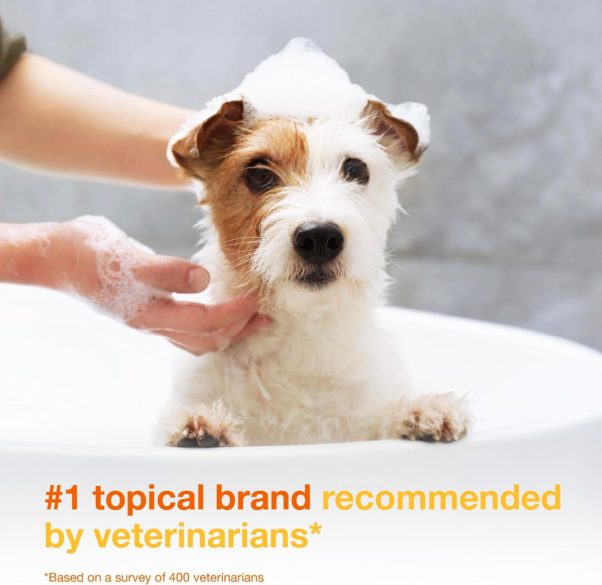 Douxo S3 PYO Chlorhexidine Shampoo & Mousse for Dogs – Essentials for Dogs - image 3