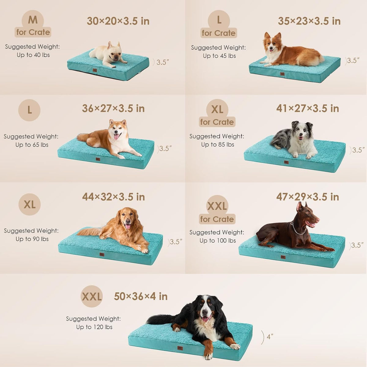 EHEYCIGA Orthopedic Dog Bed Large with Removable Washable Cover - 36*27*3.5 inches / Turquoise Blue - image 2