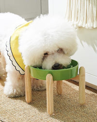 LE TAUCI Ceramic Slow Feeder Dog Bowls Elevated for Small and Medium Breed, Dog Bowls with Wooden Stand, 1.5 Cups Pet Dishes to Slow Down Eating, Anti-Gulping Pet Feeding Dishes, Clover Green