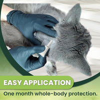 Flea and Tick Prevention for Cats: Flea & Tick Topical for Cats Over 1.5lbs, 6 Dose Flea and Tick Control/Prevention for 6 Months (6 Pack)