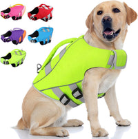 Queenmore XS Dog Life Jacket - X-Large / Neno Green