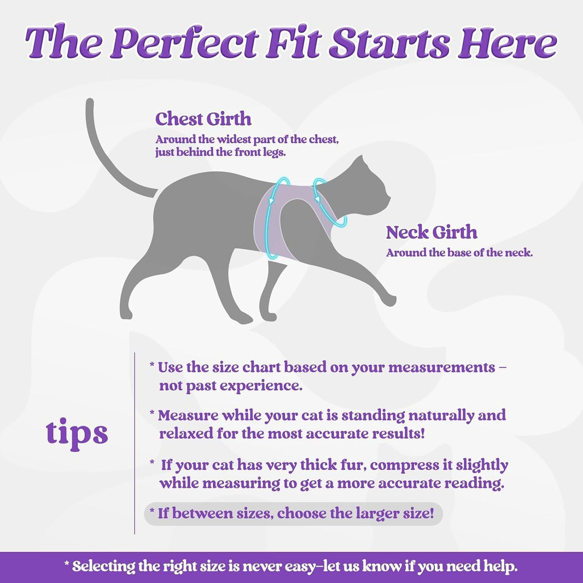 rabbitgoo Cat Harness and Leash Set, Step-in Soft Vest - XL / Purple - image 2