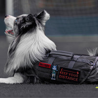 OneTigris No Pull Tactical Dog Harness for Medium Dogs - Grey / L - image 3