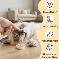 80PCS Catnip - Cat Nip for Cats Natural Dried Catnip Treats Premium Cat Nip Perfect for Toys, Training Rewards, Stress Relief, Freshly Harvested Bag Bulk Pack,2.8OZ