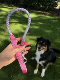 Reflective Dog Leash 2/3/4/6/10ft Braided 1/2" Strong Nylon Rope – Essentials for Dogs - 2ft * 1/2" / Pink - image 2