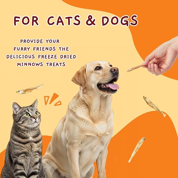 Jungle Calling Freeze Dried Minnows for Cats & Dogs, Single Ingredient Fish Cat & Dog Treats, High Protein Grain Free Pet Training Snacks, 2 oz