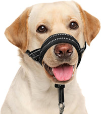 Soft Dog Head Collar, Patented Padded No Pull Training Head Halter – Essentials for Dogs - Black / M (Snout 8"-11")