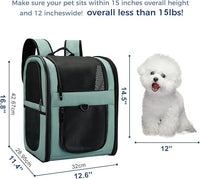 Apollo Walker Dog & Cat Carrier Backpack for 4-15lb Pets - Ventilated Safe Design with Padded Back Support, Breathable Mesh Pet Backpack for Hiking, Travel, Outdoor (Blue)